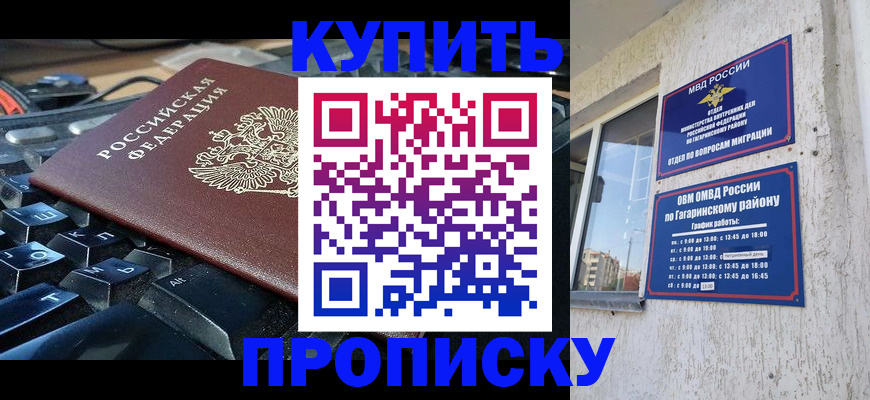 временная регистрация для всех в Светлогорске